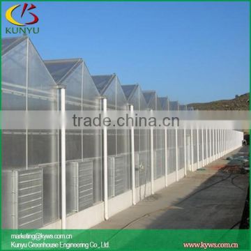 Venlo roof type PC greenhouse temporary greenhouse poly greenhouse covering