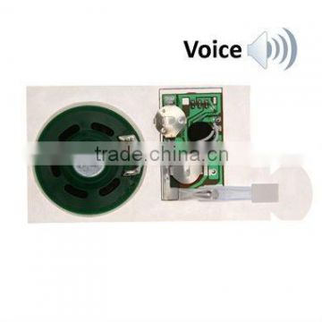 Music Talking Voice Module