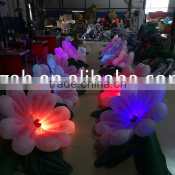Inflatable Daisy Flower with Color Changed Lights