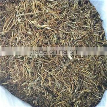 New Crop Chinese Gentian Root