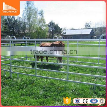 China Farm Economy Type galvanized used cattle panels