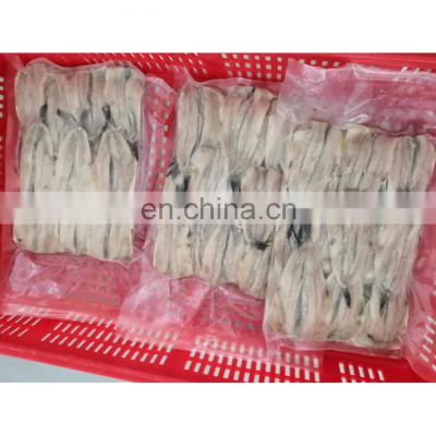 Good price frozen anchovy sprat fish fillets block