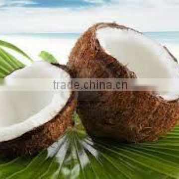 Best Young Coconut for Sale