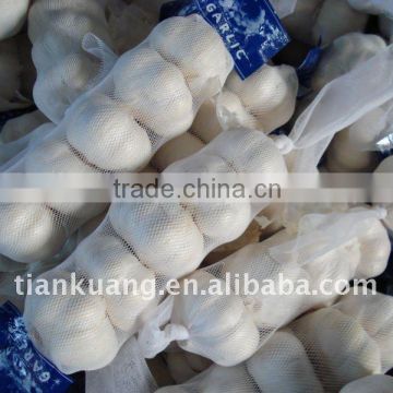 chinese pure white garlic