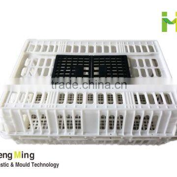 Chicken Cage for live poultry farming