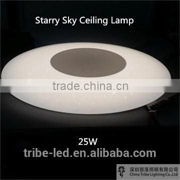 Starry Sky Ceiling Lamp