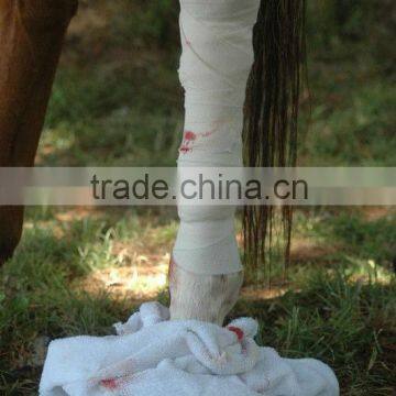 (T)horse leg wrap Elastic Adhesive Bandage