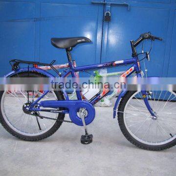 20" Africa model bike /cycle/bicycle