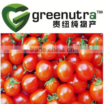 1%-98% lycopene /Solanum Lycopersicum Extract