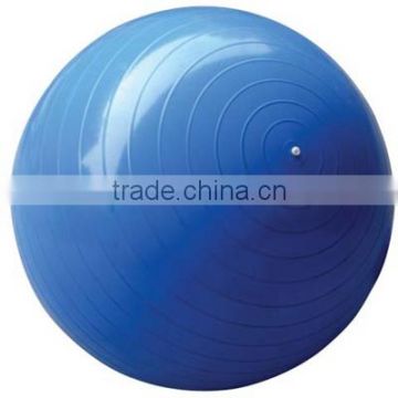 Eco Exercise Ball With Pump