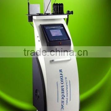 Stand Type Permanent 2013 Professional Multi-Functional Beauty Equipment Body Curving Machine Fade Melasma Skin Inspection