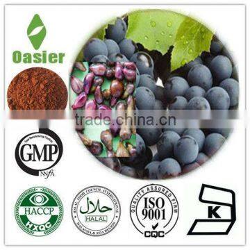 Offering grape seed p.e.95 proanthocyanidine.Cost Effective!