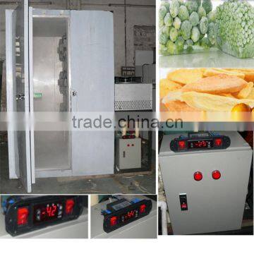 Blast freezer for vegetables freezing at -45 degree C