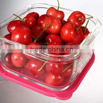 Glass food container with silicone cover