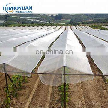 anti hail protection net / anti bird net / pe plastic net / fruit tree covers