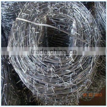 16#x18# 16#x16# Galvanized Barbed Wire (Professional Manufacturer)