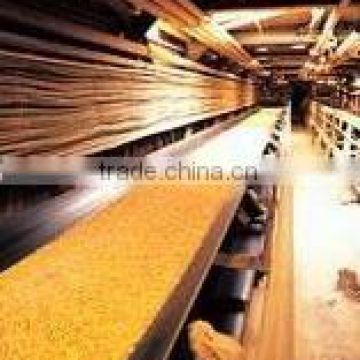 Oil-resistant multi ply NN fabric conveyor belt for grain transportation