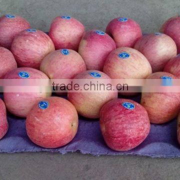 Fresh Qinguan apple