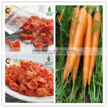 Dehydrated Carrot Granules in China