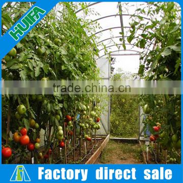Small Size and Film Cover Material agricultural greenhouses for tomato