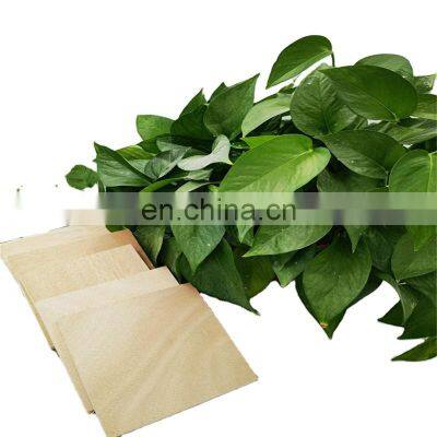 18mm pine plywood sheet 3/4 ply wood high quality pine playwood for furniture