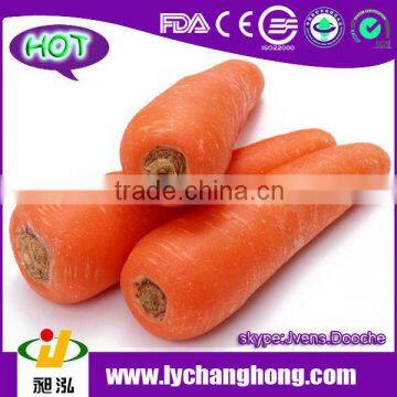 2014 New Crop Fresh Carrot from China,Xiamen