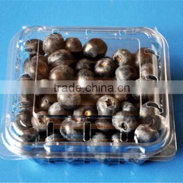 FDA approved food grade packaging boxes / food container