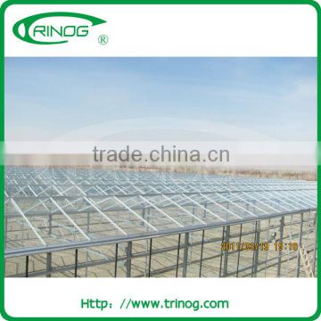 Fiberglass sheet for greenhouse