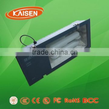 120W outdoor china new products LVD price induction lamp tunnel light