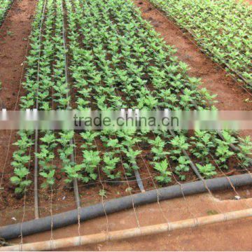 plastic irrigation drip tape with double line used in filed