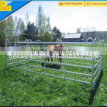 Cheap Galvanized pipe horse fence panels for animals with cheap price