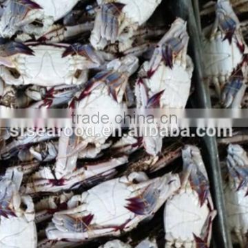 Frozen Blue Swimming Crab Whole