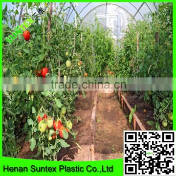 Supply 2016 100% virgin LDPE plastic greenhouse cover film for tomato