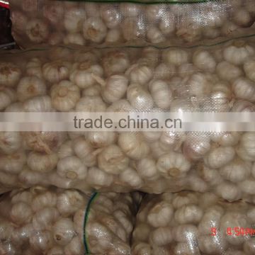 YUYUAN brand hot sail fresh garlic garlic mincer