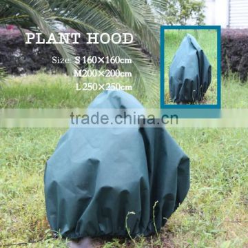Plant (tree / flower) hood