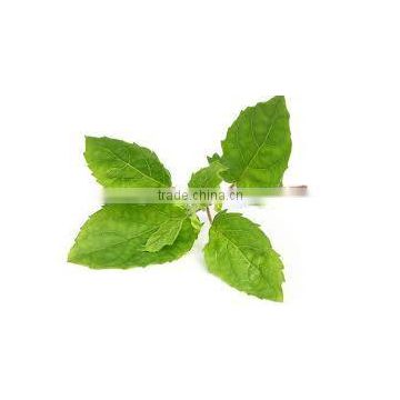 pure gymnema Leaf