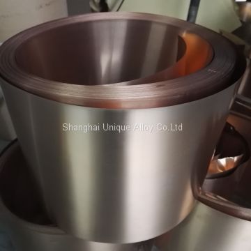 Beryllium Copper Sheet CW101C
