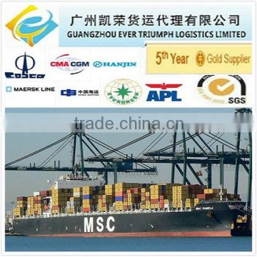 Cheap Sea freight from Guangzhou/Shenzhen/Shanghai China to Antwerp, Belgium