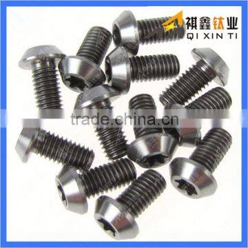 DIN Gr2 Gr5 titanium wood screws