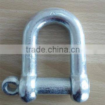 large D- Shackle