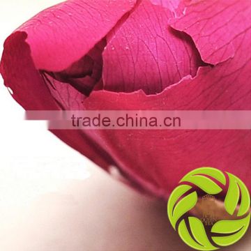 Hot selling china mainland raw material smooth skin detox tea meigui flower tea red rose buds herb tea rosa rugosa