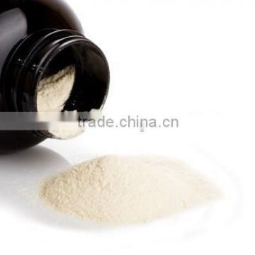 Gold Standard Nutrition Whey Protein Powder