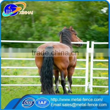 Wholesale alibaba best quality hot dipped galvanized used horse corral panels