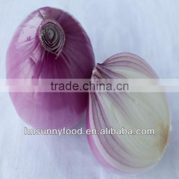 China Onion Powder Distributor Factory Supplier with ISO9001 HACCP OU BRC