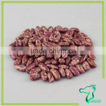 Marketing Of Agro Products Red Speckled Kidney Beans