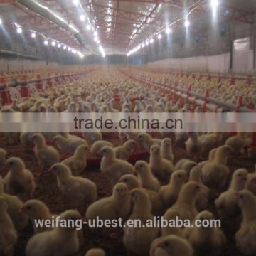 Poultry automatic feeding system/Chicken house equipment