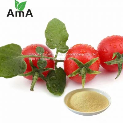 Amino Power Nitrogen Fertilizer Plant Based High Nitrogen Fertilizer for Turf, Vegetables, Fruits