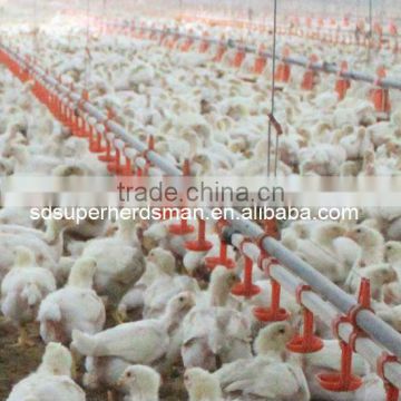 Hot Sale Full Set High Quality Equipment for Broiler Poultry House