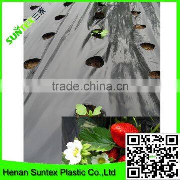 agricultural plastic mulch film, Biodegradable ground cover, Biodegradable plastic film