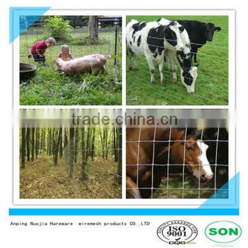 hog wire fence of galvanized steel wire fence